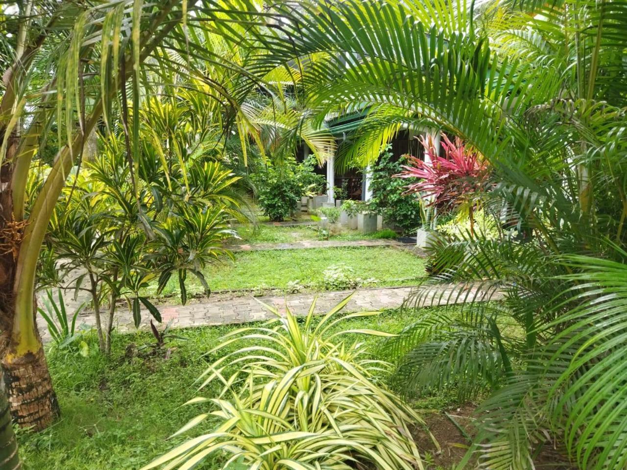 Lion Paradise Surf Beach Matara Dış mekan fotoğraf