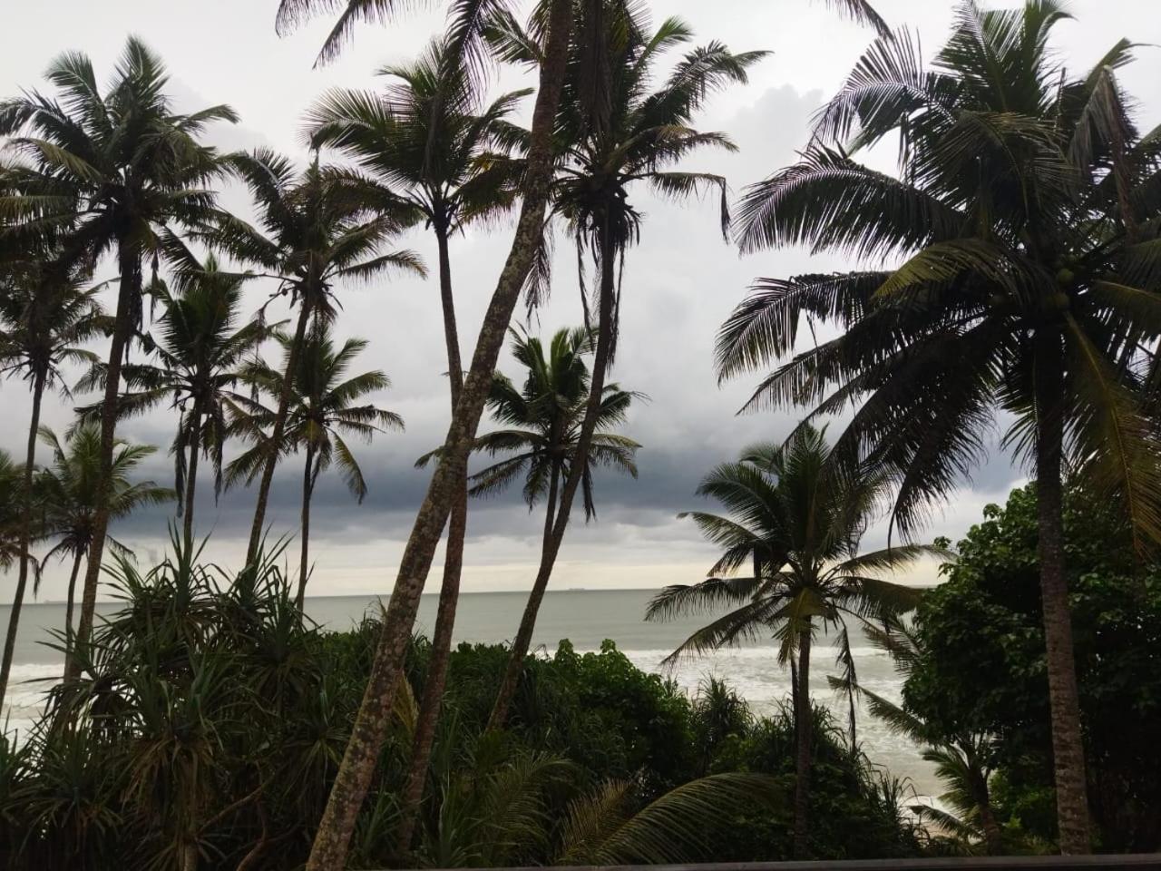 Lion Paradise Surf Beach Matara Dış mekan fotoğraf
