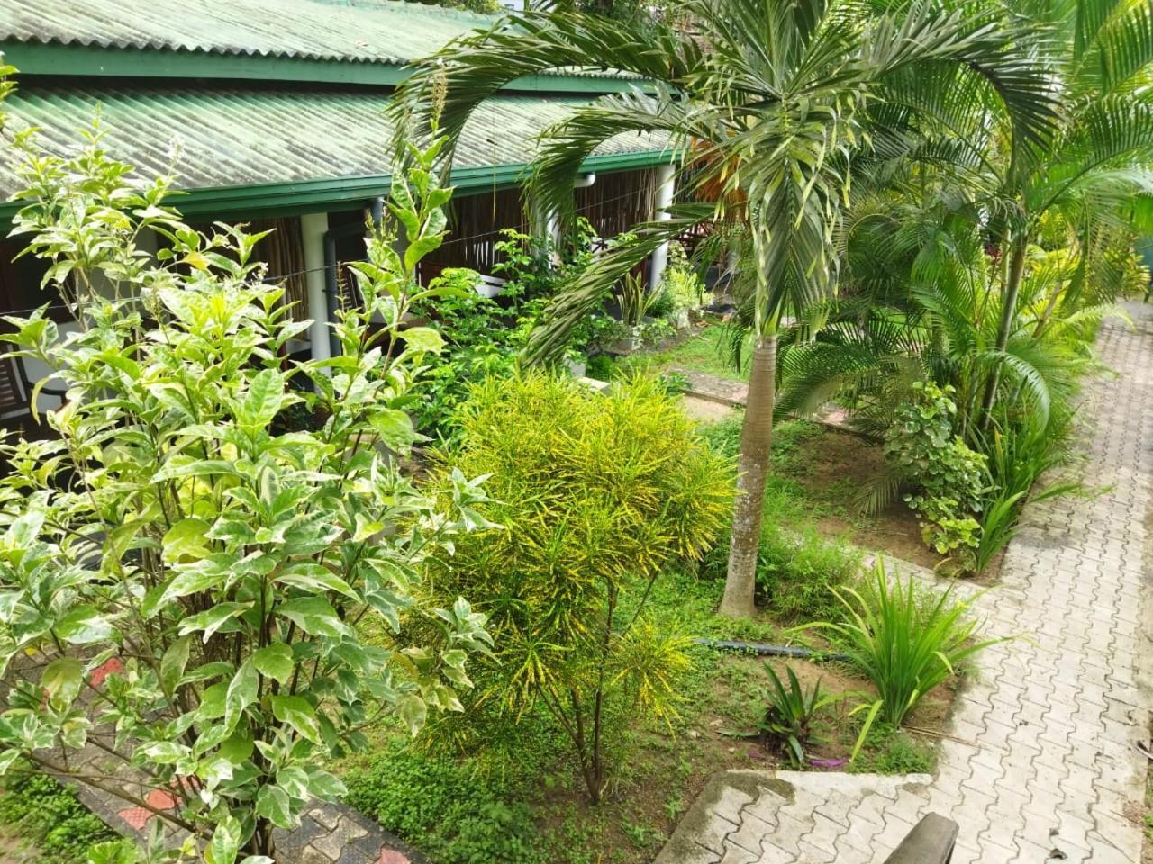 Lion Paradise Surf Beach Matara Dış mekan fotoğraf