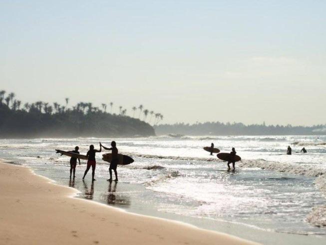 Lion Paradise Surf Beach Matara Dış mekan fotoğraf